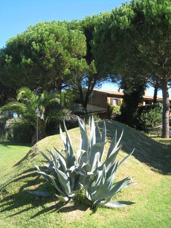 Casa Terra Rossa Apartment Fauglia ภายนอก รูปภาพ
