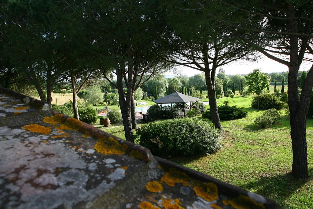 Casa Terra Rossa Apartment Fauglia ภายนอก รูปภาพ